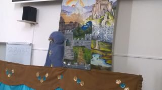 WP_20180425_11_46_58_Pro